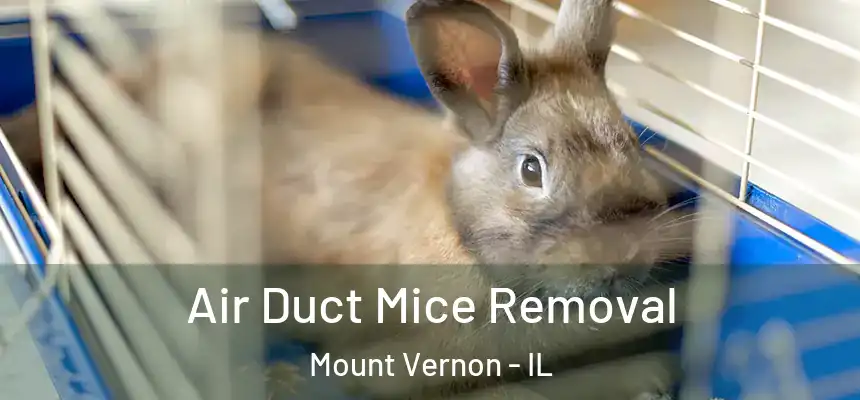 Air Duct Mice Removal Mount Vernon - IL