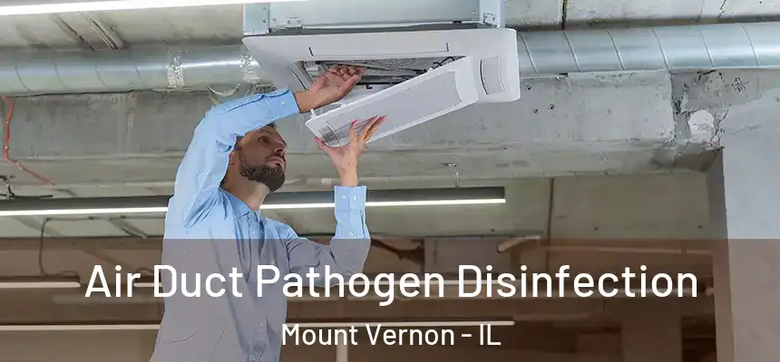 Air Duct Pathogen Disinfection Mount Vernon - IL