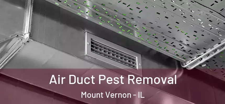  Air Duct Pest Removal Mount Vernon - IL