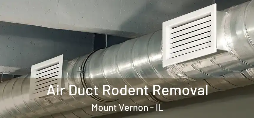 Air Duct Rodent Removal Mount Vernon - IL