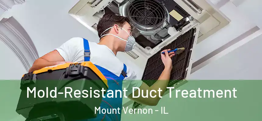 Mold-Resistant Duct Treatment Mount Vernon - IL