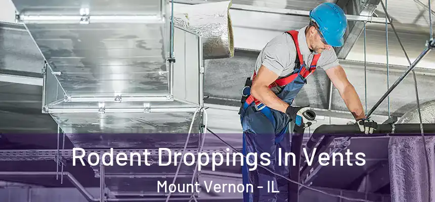 Rodent Droppings In Vents Mount Vernon - IL