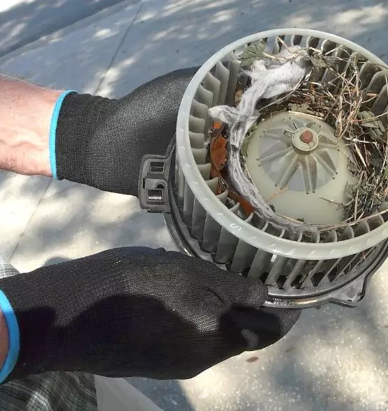 About Air Duct Rat Removal in Mount Vernon, IL