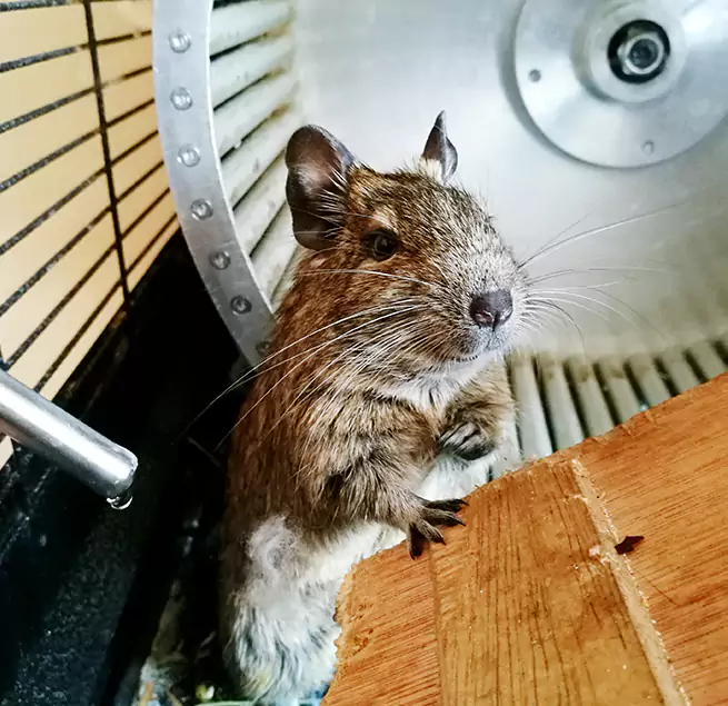 Why Homeowners & Businesses Trust Us Mount Vernon, IL?