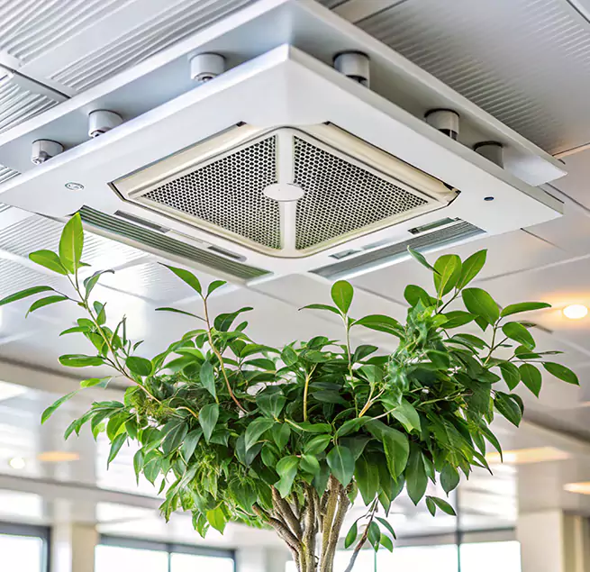 Why Homeowners & Businesses Trust Us in Mount Vernon, IL?